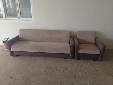 sadnice avokada cena: Divan, Bazalı — 1