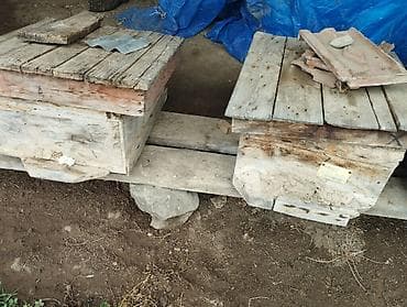 ucuz keci: Arıxana avadanlığı – taxta pətəklər və gövdələr - Məhsul: Arıçılıq — 4