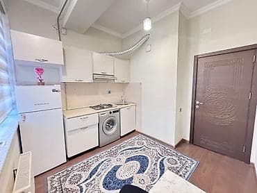 1 otaqlı, Yeni tikili, 45 kv. m — 5