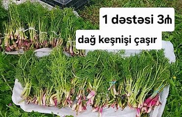 su baçoku: Salam aleykum bir dəstəsi 3₼ cox alan olsa çatdırılması mümkündür — 1