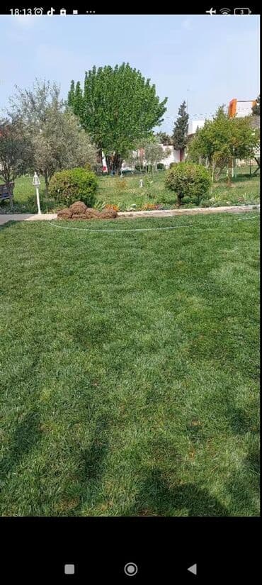 ağ dırnaq modelleri: Landşaft dizayin ummi abadliq qazon agaclar gul ciceklerlə bağlarin — 10