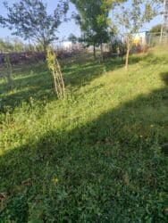 аренда частного дома: 2 otaqlı — 12