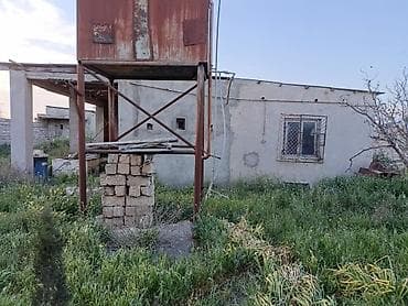 Bağ evlərinin satışı: Bakı, Binə, 1400 kv. m, 4 otaqlı, Hovuzlu, Qaz, İşıq, Artezian quyusu — 5