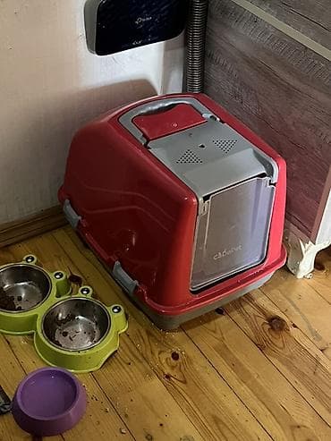 etibarli ellere: Britan — 2