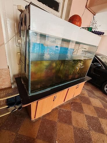 akvarium lampa: 1.20uzunu Eni 50sm Hündürlüyü 90sm Üsdünün kinişkasıda VAR vintilasiya — 2