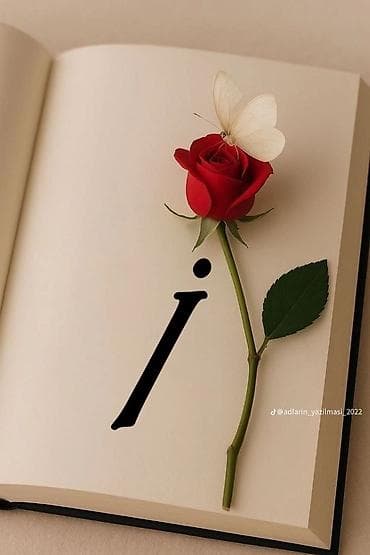 it səkili: Hədiyyəlik dekorativ poster – “İ” hərfi, qızılgül və kəpənək — 1