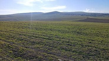 купить землю в баку: 100 соток, Для сельского хозяйства, Собственник, Купчая — 4