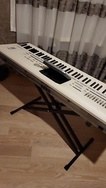 İdman və hobbi: Sintezator, Korg — 2
