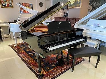 piyanino: Liderlik tarixi digər Uzaq Şərqdəki fabrikaların yaranma tarixi qədər — 1