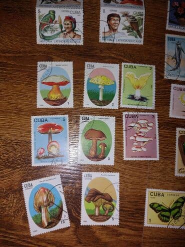 george marka: * Sovet vaxtından qalan xarici markalar. Yeni olaraq o vaxtdan bağlı — 5