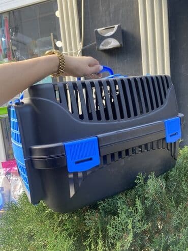 pişik əşyaları: Heyvan daşıma çantaları/konteynerləri - Material: möhkəm sərt plastik — 4
