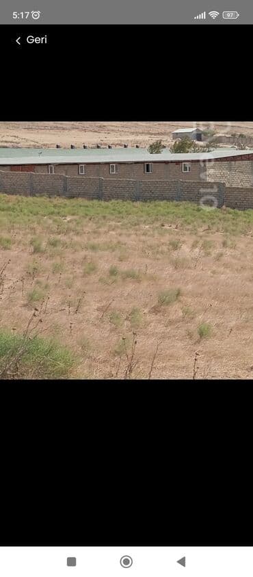 yeni ramanida ev: 41 sot, Kənd təsərrüfatı, Mülkiyyətçi, Kupça (Çıxarış) — 2