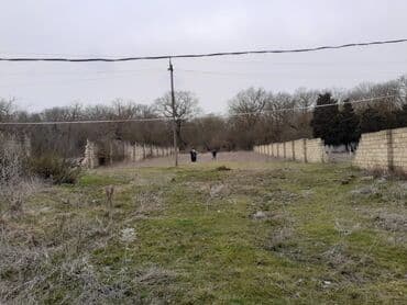 ferma icarəyə verilir: 25 sot, Tikinti, Mülkiyyətçi, Kupça (Çıxarış) — 2