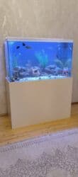 qızıl balıqlar: Akvarium-şkaf, Boş, 270 l, Ödənişli çatdırılma — 1