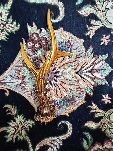 buynuzu: Təbii cüyür buynuzu (tək buynuz parçası) - Material: orijinal təbii — 4