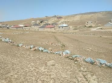 torpaq quba: 8 sot, Tikinti, Kupça (Çıxarış), Bələdiyyə, Müqavilə — 3