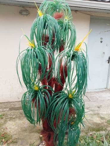 palma ağacı qiyməti: Dekorativ süni ağac – iri ölçülü, qapalı və açıq məkanlar üçün. - — 3