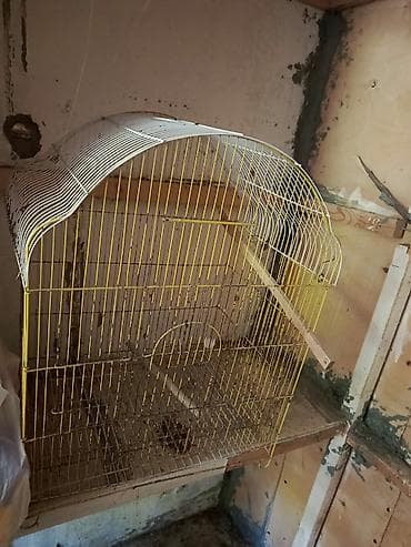 Heyvanlar üçün mallar: İşlənmiş Quş qəfəsi – metal - Forma: yarımdairəvi tağlı tavan — 3