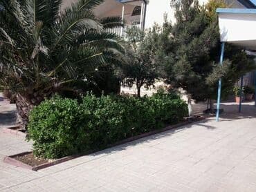 mərdəkan kirayə evlər: 400 kv. m, 5 otaqlı, Qaz, İşıq, Su — 11