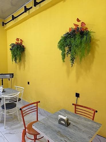 stanok: İcarəyə verilir tam təchizatlı fast-food/pitsa/dönər konseptli iaşə — 7