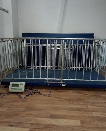 Торговые весы: Оплата наличными — 5