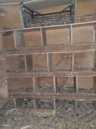 Heyvanlar üçün mallar: Quş yuvaları və kiçik quşxana - Material: taxta karkas, arakəsməli — 2