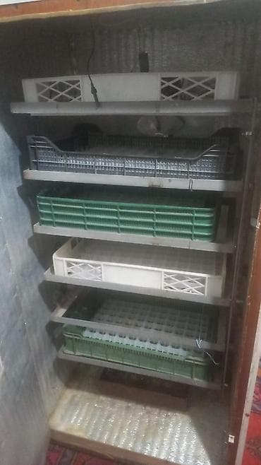 Sənaye tipli inkubator1000 cücə yumurta tutumu.Ördək qaz hinduşka — 3