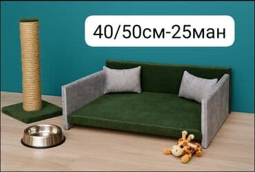 Gəmiricilər: Tezedilər, biri 25man — 4