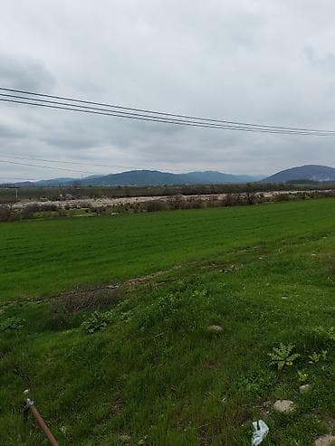 yeni suraxani torpaq satilir: Tikinti — 3