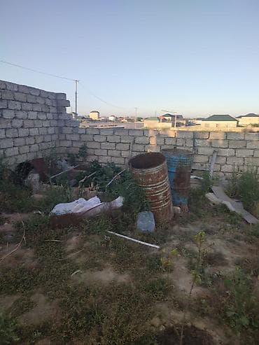 məhəmməd: Mehemmedli qesebesi zeytun bagiyla uzbe uz 8 soot kupcali torpaq — 4
