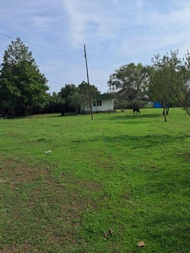 bağ evi satışı: Kənd təsərrüfatı — 14