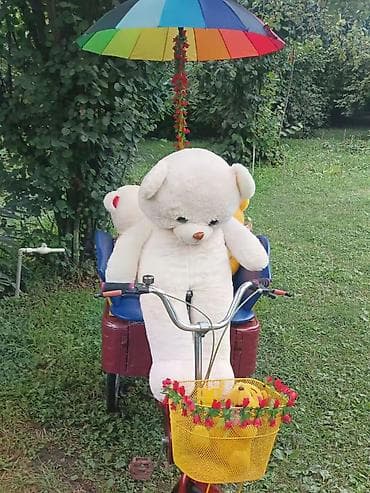 3 təkər velosiped: Uşaq və ailə gəzintiləri üçün 3 təkərli sərnişin velosipedi - Tip — 3