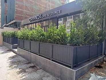 8 mart gullar: Taxtalar ile ev, bağ, restoran, ofis, otel ve s. məkanlarınızın müasir — 2