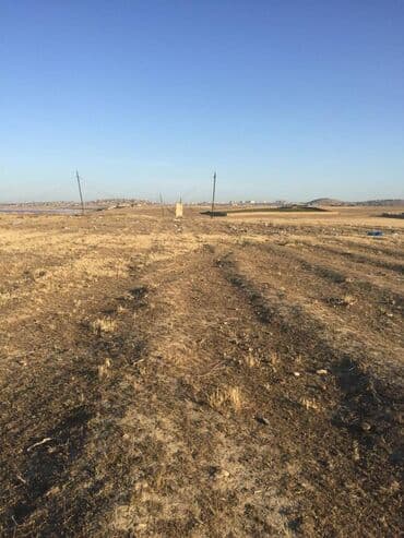 ucuz hotel: Biznes üçün, Mülkiyyətçi, Kupça (Çıxarış) — 1