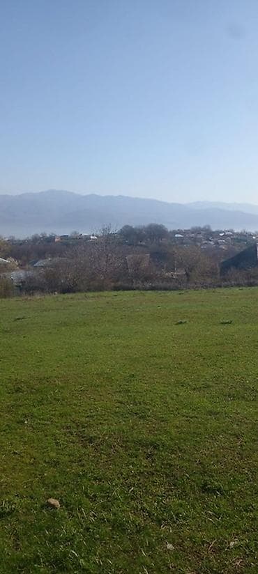 polad hesimov kucesi: 13 sot, Tikinti, Mülkiyyətçi, Kupça (Çıxarış) — 4