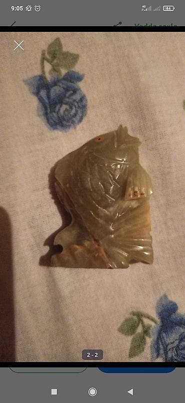 glofish balığı: Fiqur, rəng - Yaşıl — 2