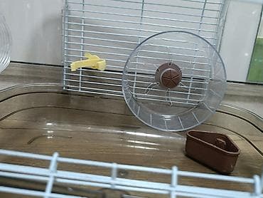 it evi satilir: Siçan/hamster üçün komplekt qəfəs sistemi - Modul tipli hamster evi — 7