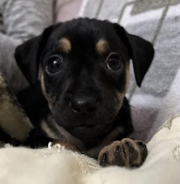 2 месяца — 3