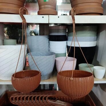 Dibçek asilqan Qiymetle bağli zeng ve watchap Dibçək Gül dibçəyi