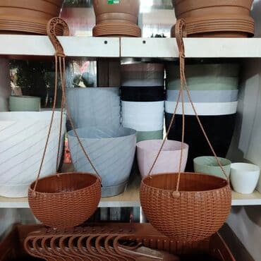 Digər bitkilər: Dibçək. Müxtəlif ölçü və modellər mövcuddur. Fərqli qiymətlərdədir — 21