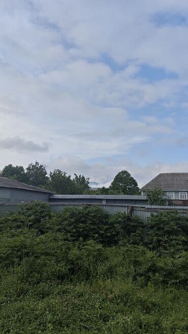 5 sot, Tikinti, Mülkiyyətçi, Kupça (Çıxarış)