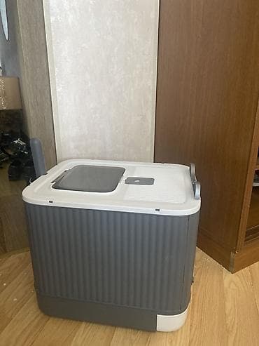 pisi: Britan, Erkək, Ünvandan götürmə, Pulsuz çatdırılma, Ödənişli çatdırılma — 5