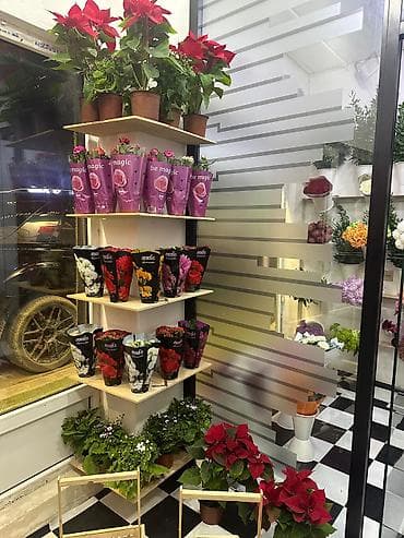 buket güllər: Camiloğlu Flowers –Hazir biznes olaraq satilir.2 ildir — 3