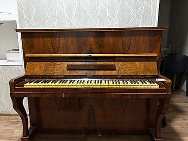 Velosiped ehtiyyat hissələri: Piano, Akustik — 5