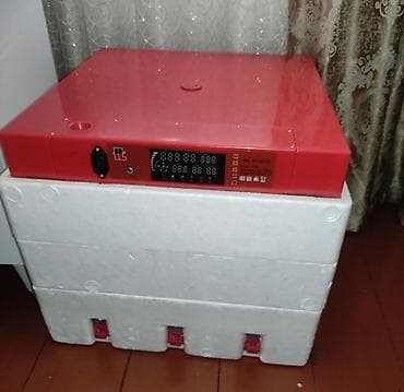 qus sekli: Yumurta inkubatoru – rəqəmsal idarəetmə paneli ilə - Tip: Elektriklə — 2
