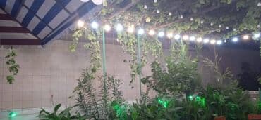 baki ucuz oteller: Obyekt Əhmədli qəsəbəsində yol kənarı yaxşı yerdir. İcarəyə verilir — 5