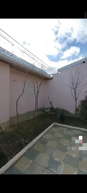 шеки: Мамедлы 7 комнат, 180 м², Нет кредита, Свежий ремонт — 4