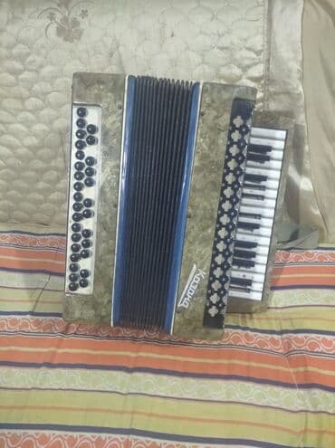 köhnə saat: Akustik Akkordeon — 1