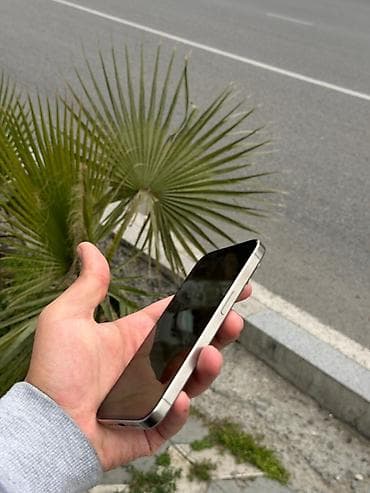 iphone 8 pilus: IPhone 15 Pro, Gümüşü, Qırıq — 4