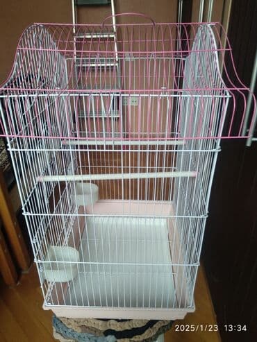 переноска для кошек баку: Quşlar üçün qəfəs — 2